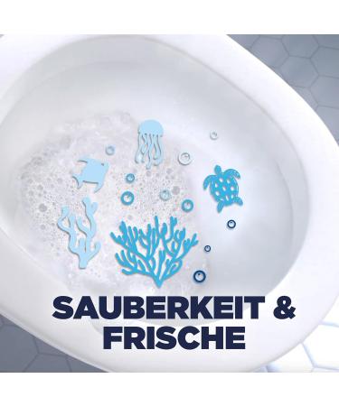 WC-Ente Biodegradable Toilet Cleaner - Coastal Forest 750ml | Eco-Friendly & Effective - Buy Online on GoSupps.com