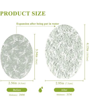 3-Pack Cleaning Kitchen Sponges Oval Dragonfly Green Kitchen Cellulose Dishwashing Wood Pulp Cotton - Buy Online on GoSupps.com