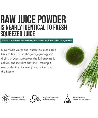 Organic Wheatgrass Juice Powder Plus Organic Barley Grass Juice Powder - USA Grown in Volcanic Utah Soil Both Raw Form & 5.3 oz - Buy Online on GoSupps.com