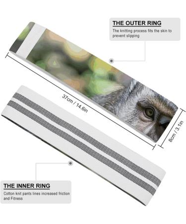 High-Quality Fabric Resistance Bands for Fitness | Elastic Exercise Bands for Walking & Leg Workouts - Shop Internationally - Buy Online on GoSupps.com