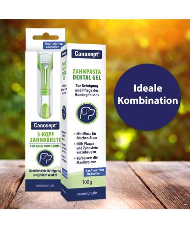 Canosept 3 Head Dog Toothbrush Comfortable Dental Care for Dogs Effective Tartar Remover & Bad Breath Solution 1 Piece - Buy Online on GoSupps.com