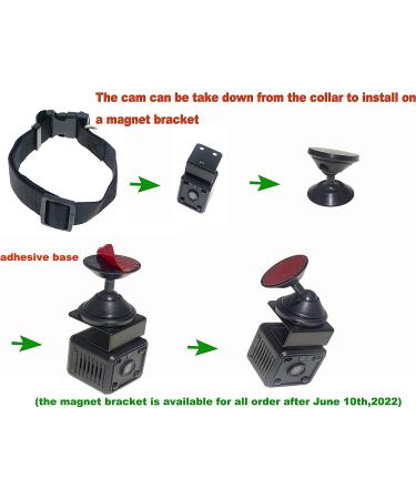 32GB Digital Pet Collar Dog Cam DVR Video Recorder with Monitor - Black (TF Card Included) - Buy Online on GoSupps.com