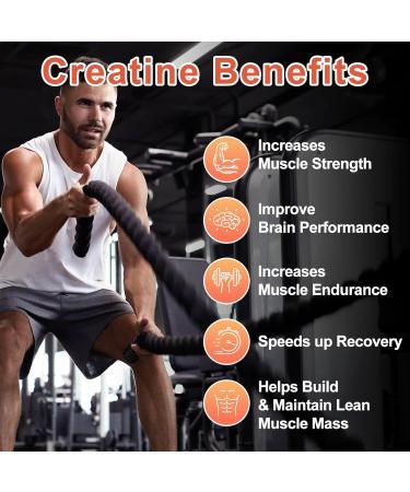 Creatine Monohydrate Gummies 5000mg for Men & Women 120CT Chewable Creatine Gummies for Muscle Support Energy Boost 5g of Creatine Monohydrate per Serving - Sugar Free (Blueberry Strawberry) - Buy Online on GoSupps.com