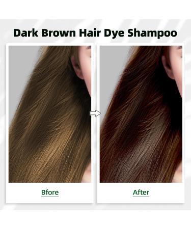 KAISASA Dark Brown Hair Dye Shampoo 3 in 1 for Gray Coverage - Herbal Ingredient Color Shampoo for Women & Men - Long Lasting 500ML - Buy Online on GoSupps.com