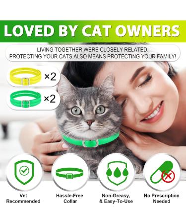Cat Collar Set of 4 - 48cm - Stylish Green & Yellow Design for International Shipping - Buy Online on GoSupps.com