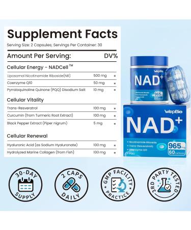 WepBio Upgraded NAD Supplement Liposomal Nicotinamide Riboside(NR 500mg) with CoQ10 PQQ and Resveratrol for Women and Men Supports Cellular Energy Vitality & Healthy Aging - 180 Capsules - Buy Online on GoSupps.com