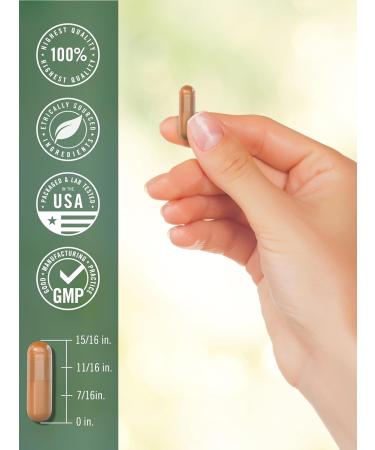 Turmeric Curcumin 3000mg | 150 Capsules | Turmeric Supplement with Black Pepper Extract | Non-GMO Gluten Free Herbal Complex - Buy Online on GoSupps.com