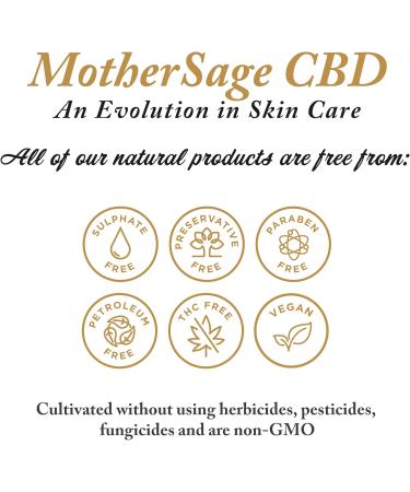 MotherSage CBD Lip Balm - Intensive Hydration and Healing for Dry Chapped Lips with 75mg CBD Shea Butter and Natural Oils | Vegan Cruelty Free THC Free | 15ml - Buy Online on GoSupps.com
