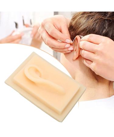Buy Realistic Silicone Acupuncture Ear Model | Natural Size Soft Texture | Ideal for Teaching & Exercises - Buy Online on GoSupps.com