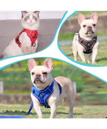 Adjustable Cat Dishes & Line Set | High-Quality Cat Bowls for Kittens Dogs & Puppies - Brown (Large) - Buy Online on GoSupps.com