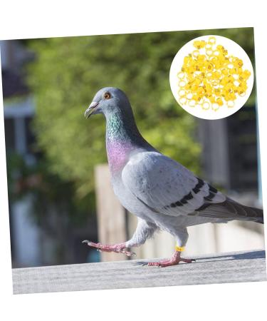 Kisangel 200 Pcs Pigeon Anklet Where Tag Pigeon Deterrent Spray Foot Ring for Pigeon Number Baby Pigeon Ring 1.3X1.3CMx2pcs Yellowx2pcs - Buy Online on GoSupps.com
