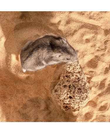 LISSION Hamster Bath Sand 2.2lb 1000g Litter Potty Sand Dust Free Desert Bath Sand for Hamster Chinchillas Guinea Pigs Gerbil Syrian Small Animals Beige Yellow 2.2 lb - Buy Online on GoSupps.com