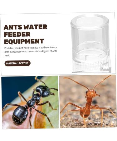 KICHOUSE Pet Water Feeder Ant Watering Station Ant Water Drinking Cup Ant Water Feeders Ant Nest Supplies Ant Nest Water Cup Automatic Ants Feeder Ant Bowl Dispenser To Feed Plastic - Buy Online on GoSupps.com