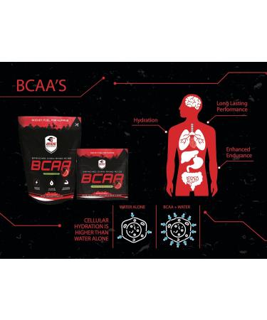 Branched Chain Amino Acids BCAA Protein Powder | Berry Flavor - Boost Energy Hydrate & Enhance Performance | 90 Servings - Ideal for Athletes - Buy Online on GoSupps.com