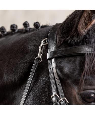 Sunride English Combined Bridle Berlin with Soft Real Leather Reins - Adjustable & Anatomical (Full Black) - Buy Online on GoSupps.com