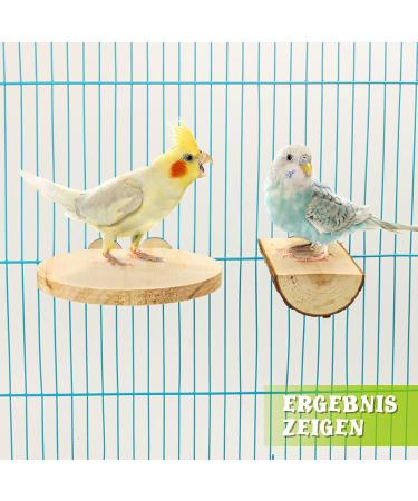Reyshin Bird Seating Board Set - 4 Pieces Bird Playground Accessories with 5 Rat Balls for Budgies Canaries and Lovebirds - Ideal Bird Cage Toys - Buy Online on GoSupps.com