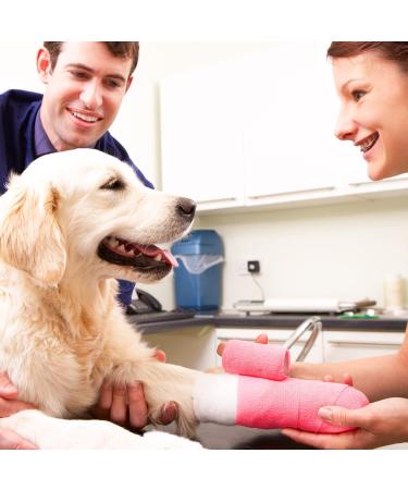 OBTANIM 15 Pack Self Adhesive Bandage Wrap - 2x5 Yards, Assorted Colors - Elastic Cohesive Vet Wrap Rolls for Sports Injuries - Buy Online on GoSupps.com