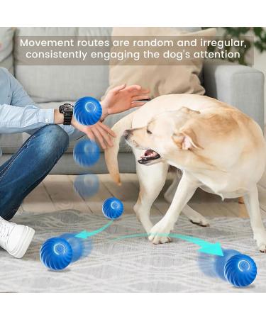 Interactive Self-Strolling Dog Toy - 2 Pack Wicked Ball for Boredom Relief | Blue - Buy Online on GoSupps.com