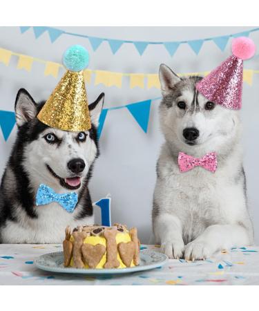 2 Piece Pet Birthday Hat Set - Party Accessories for Dogs - Perfect for Pet Parties & Celebrations - Buy Online on GoSupps.com