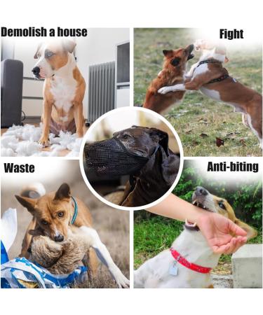 Adjustable Dog Muzzle - Anti-Poison Bait Protection for Small Medium & Large Dogs | Soft Mesh Design - Buy Online on GoSupps.com