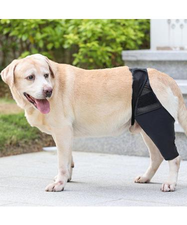 Dog Knee Pad Elastic Dog Leg Brace Oxford Fabric for Injury Recovery (S) - Buy Online on GoSupps.com