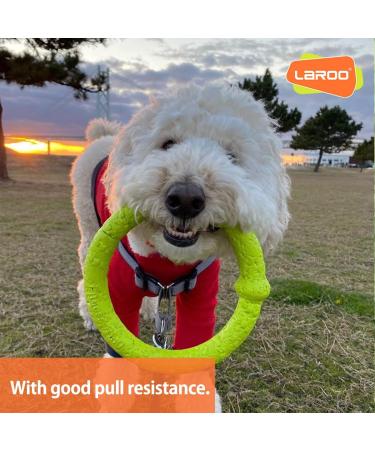 Laroo Dog Frisbee & Fitness Ring - Water Toy for Small Dogs | 18cm Green - Perfect for Summer Training - Buy Online on GoSupps.com