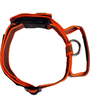 Julius-K9 Color & Gray Collar with Handle Safety Lock & Interchangeable Patch 40mm (38-53cm) - Orange Gray - Buy Online on GoSupps.com