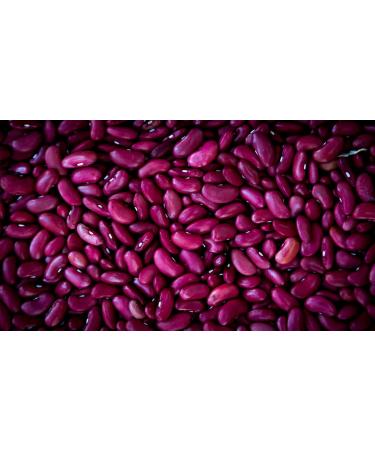 Buy Camelur 1kg Organic Kidney Beans - Dried Red Beans Without Additives - Eco-Friendly Biodegradable Packaging - High-Quality Bio Kidney Beans - Buy Online on GoSupps.com