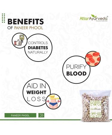 LOGY Attar Ayurveda Paneer Doda Phool (800 Grams) - Buy Online on GoSupps.com