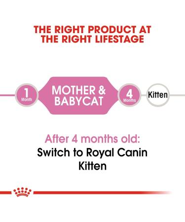 Royal Canin Mother And Babycat Cat Food 3.5-Pound - Buy Online on GoSupps.com