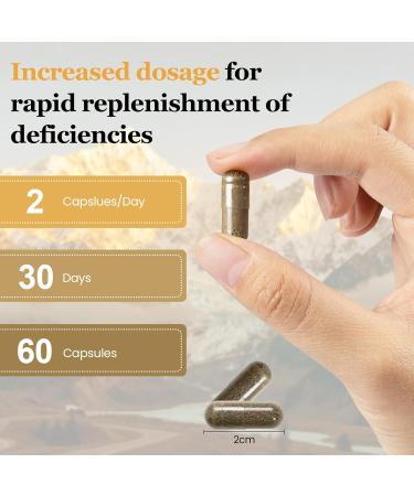 Himalayan Shilajit Supplement for Men and Women - Pure Shilajit Supplements Rich in Sea Moss Ashwagandha Black Seed Oil - Natural Gold Organic Shilajit Fulvic Acid Capsules 60 Count - Buy Online on GoSupps.com