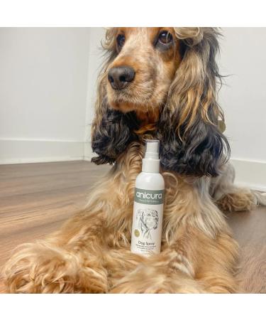 Anicura Dog Spray - Natural Relief for Itchy Skin & Allergies | Instant & Long-Term Results - Buy Online on GoSupps.com