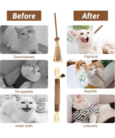 Buy Tao Pipe Catnip Sticks - 6 Interactive Matatabi Chewing Toys for Dental Care & Fresh Breath - Safe Silver Vine Sticks for Cats - Buy Online on GoSupps.com