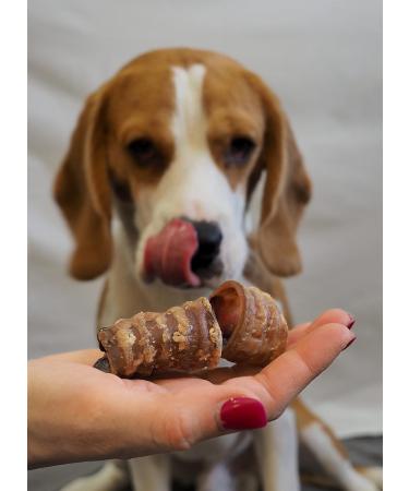 OGF Dental Hygiene for Dogs - 100% Natural - Teeth Brushing Aid - Natural Treats OGF (S) - Buy Online on GoSupps.com