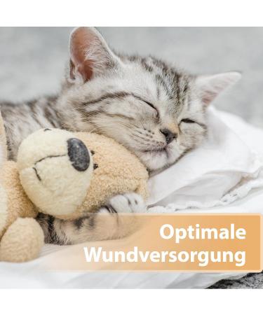 Felisept Wound Spray for Cats 75ml - Effective Painless Wound Care & Skin Cleaner for Cats - Buy Online on GoSupps.com