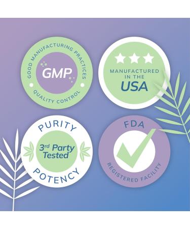 Wellness Resources Fisetin - Novusetin Fisetin Supplement for Longevity Memory Focus Brain Health - Senolytic and Situin Activator - Gluten-Free Non-GMO Vegan (100mg 90 Capsules) - Buy Online on GoSupps.com