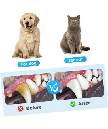 BESPORTBLE 1pc Pet Single Head Toothbrush Dog Toothbrush and Toothpaste Teeth Care Brush Cleaning Kits Plastic 1 count (Pack of 1) Random Color - Buy Online on GoSupps.com