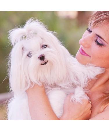 Janinka 29 Pcs Dog Hair Bows: 12 Pairs with Clips, 5 Tiara Crown Accessories | Cute Rhinestone Barrettes for Grooming - Buy Online on GoSupps.com