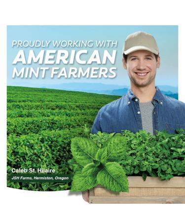 Colgate Max Fresh Whitening Toothpaste 6.3 Oz Tube, 3 Pack Cool Mint with Breath Strips - For Bad Breath - Buy Online on GoSupps.com