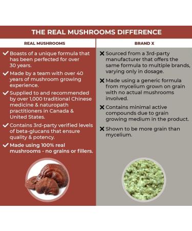 Real Mushrooms RealClarity (60ct) and Reishi (90ct) Capsules Bundle - Mushroom Supplement for Mental Clarity Focus Relaxation Sleep & Longevity - Vegan Non-GMO Verified Levels of Beta-Glucans - Buy Online on GoSupps.com