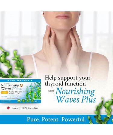 Dr Klein's Nourishing Waves Plus. Hair Skin and Nails Vitamins. Biotin Vitamin B Complex with B1 B3 B6. Thyroid Support Supplement With Kelp Iodine & Silicon. 60 Capsules (Pack of 3) 60 count (Pack of 3) - Buy Online on GoSupps.com