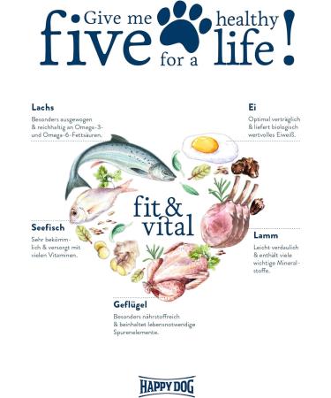 Buy Happy Dog Supreme Fit & Vital Senior (Pack of 4 x 1kg) | Premium Dog Food for Senior Dogs - International Shipping Available - Buy Online on GoSupps.com