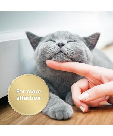 Felisept Home Comfort Cat Calming Refill 3 x 45ml - Natural Catnip Formula - Stress Relief & Behavior Control - Cat Plug-In Calmer - Buy Online on GoSupps.com