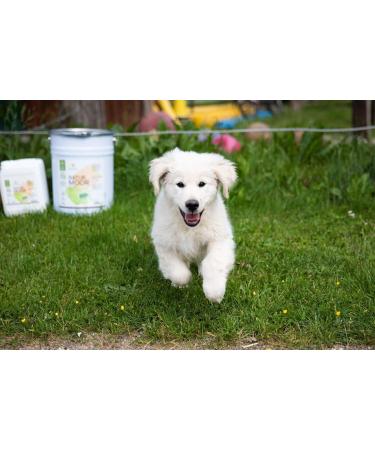 SONNENMOOR Liquid Moor for Dogs 500ml Natural Support for Pets | International Shipping Available - Buy Online on GoSupps.com