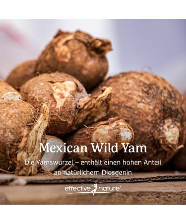 Buy Mexican Wild Yam Capsules - 240 Count | Natural Diosgenin | Raw Food Quality | International Shipping - Buy Online on GoSupps.com