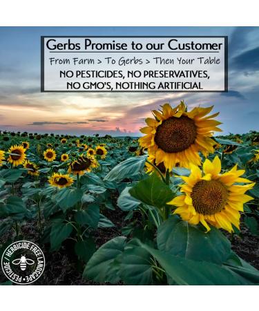 GERBS Raw Sunflower Seed Kernels No Shell 2 lbs - Top 14 Allergy Free Superfood Snack, Non GMO, Vegan, Keto, Kosher - Resealable Bag Packed with Healthy Benefits - Buy Online on GoSupps.com