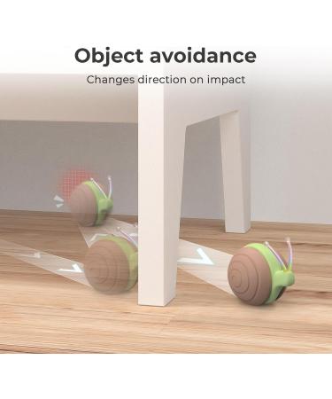 Cheerble Interactive Cat Toy with LED Lights Wicked Snail 2024 Upgraded Electric Toy for Cats DC Rechargeable Automatic Moving Cat Toy Smart Gifts for Kittens Indoor Cats Brown - Buy Online on GoSupps.com