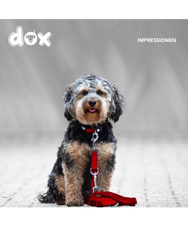 DDOXX Airmesh Dog Leash - 2m 3-Way Adjustable for All Dog Sizes - Red M (2.5 x 200 cm) - International Shipping Available - Buy Online on GoSupps.com