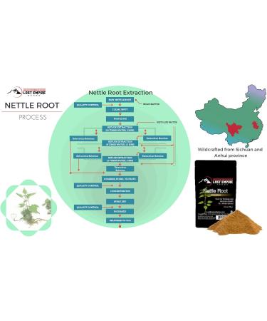 Lost Empire Herbs Stinging Nettle Root (Urtica Dioica) 10:1 Full-Spectrum Water Extract Powder Supplement for Men Urinary Function (75 Grams) - Buy Online on GoSupps.com