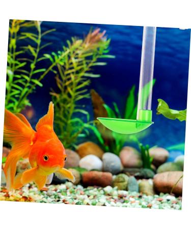 Balacoo 1 Set Fish and Shrimp Feeder Aquarium Accessories Fish Feeder Aquarium Feeder Shrimp Tank Shrimp Tank Accessories Fish Tank Accessory Shrimp Feeder Vacation 15X5X3CM As Shown - Buy Online on GoSupps.com